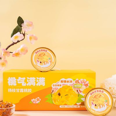 Good price ODM Mango Pomelo Sago White Snow Fungus Peach Gum Dessert Portable Gift Box online