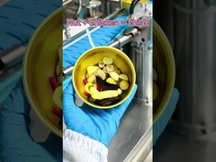 Chicken Soup with Nuts and Lingzhi